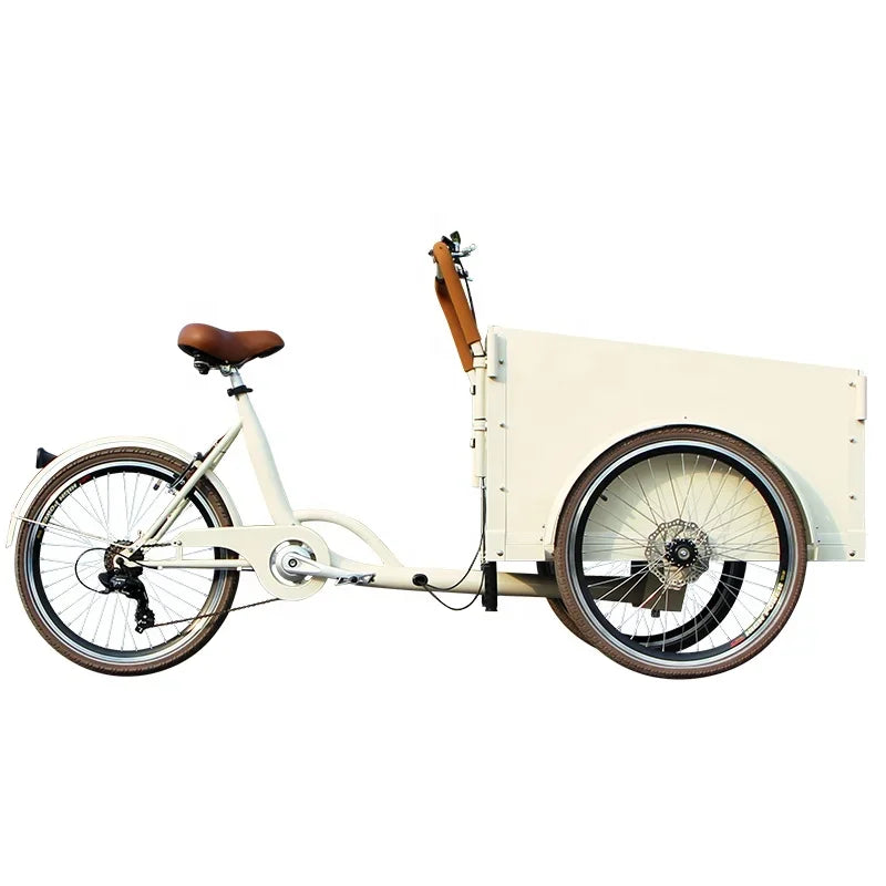 36V Lithium Battery Tricycle E-Cargo Dutch Bike