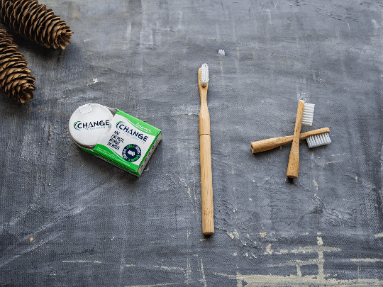 Refillable Bamboo Toothbrush (Canada Only)