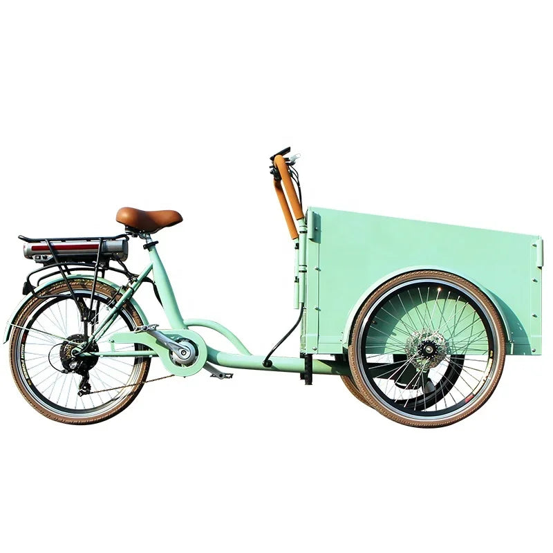 36V Lithium Battery Tricycle E-Cargo Dutch Bike