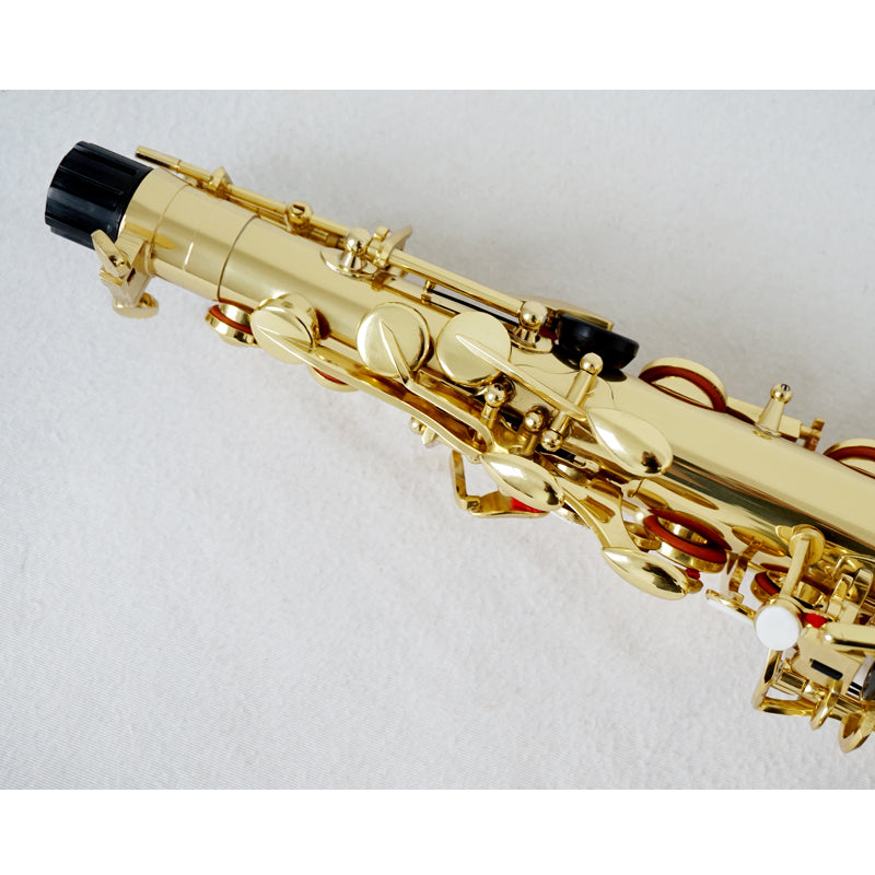 Red Colour Professional Alto Saxophone
