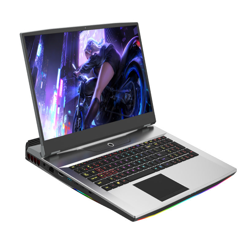 17.3 Inch Customized GTX 1650 Gaming Laptop - 1920*1080 Full HD, 1TB