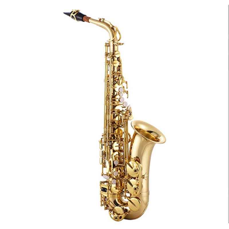Red Colour Professional Alto Saxophone