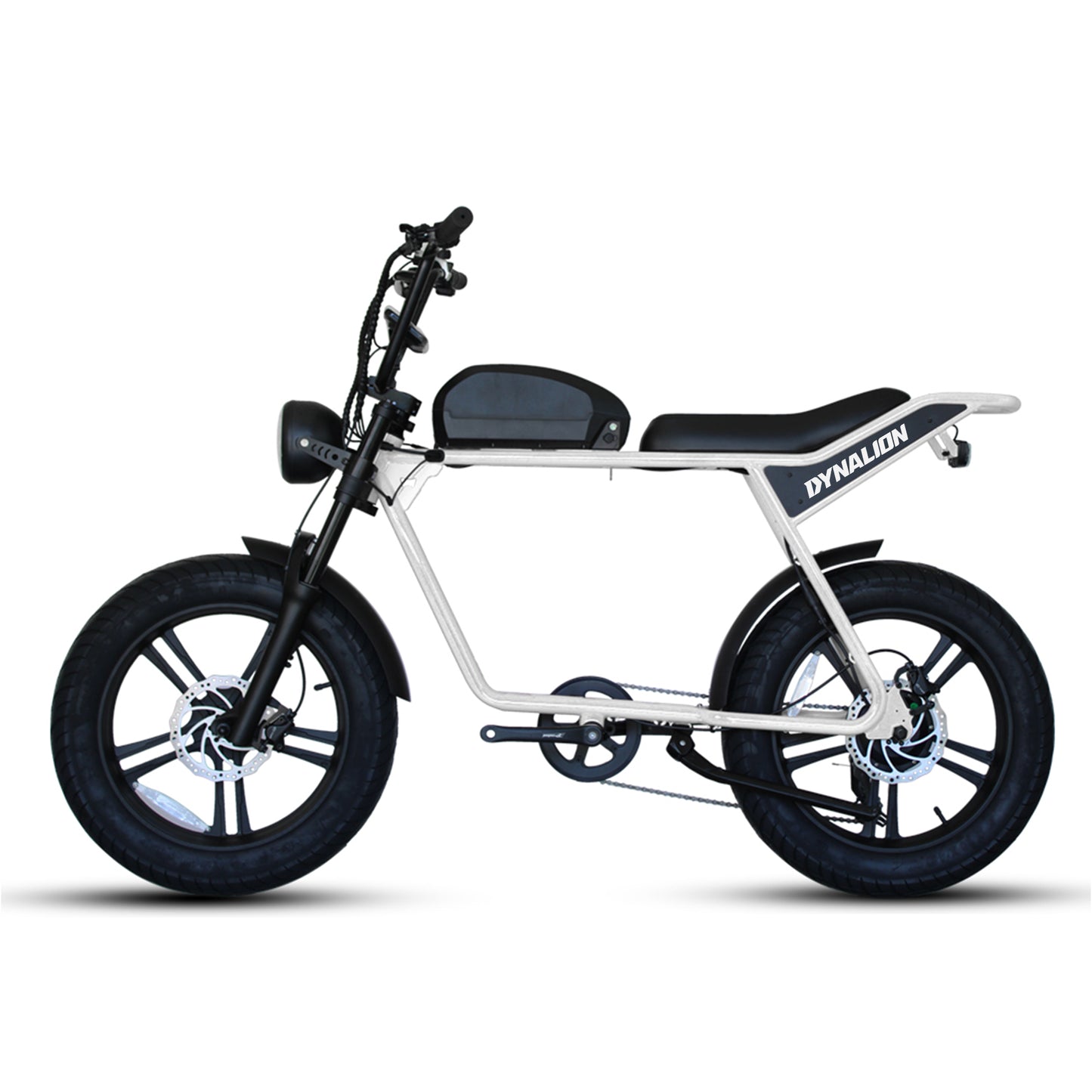 48v 750w 1000w Retro Electric Hybrid Bike