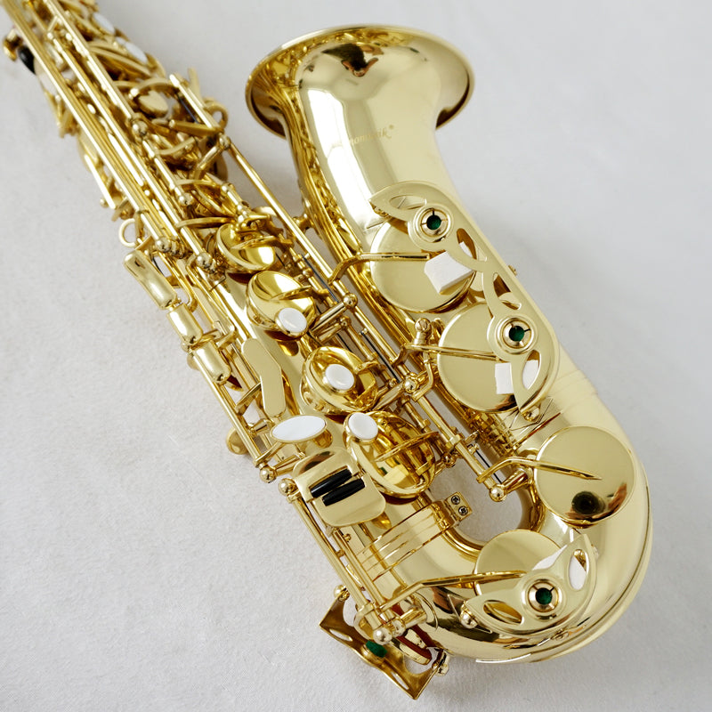 Red Colour Professional Alto Saxophone