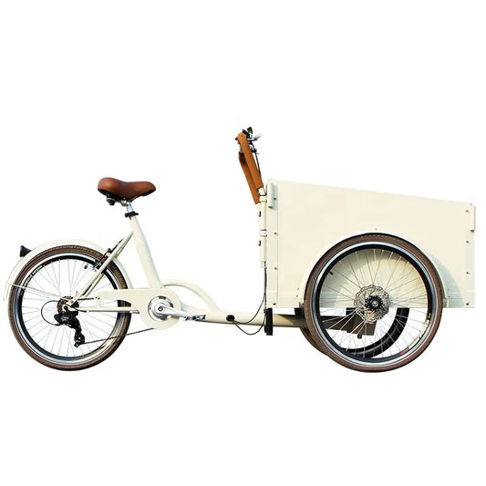 36V Lithium Battery Tricycle E-Cargo Dutch Bike