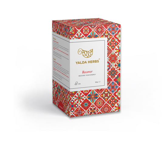 Yalda Herbs Recover 18 Pyramid Tea bags Ginger Melange