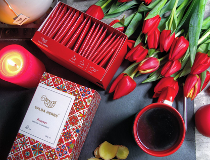 Yalda Herbs Recover 18 Pyramid Tea bags Ginger Melange