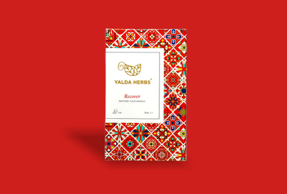 Yalda Herbs Recover 18 Pyramid Tea bags Ginger Melange