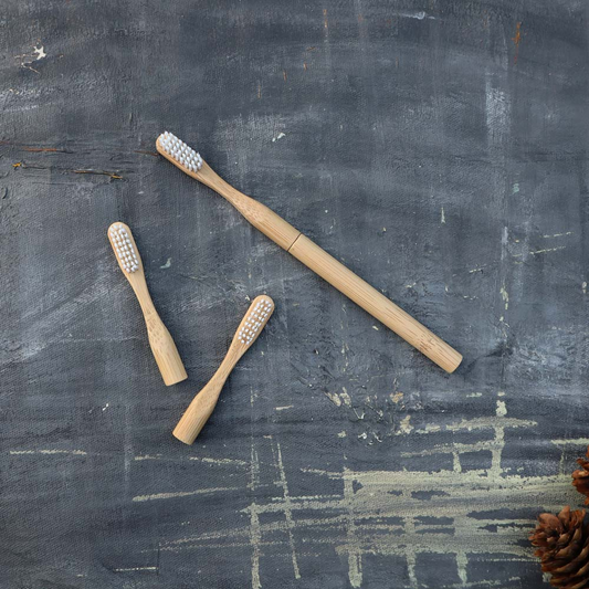 Refillable Bamboo Toothbrush (Canada Only)