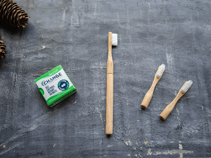 Refillable Bamboo Toothbrush (Canada Only)