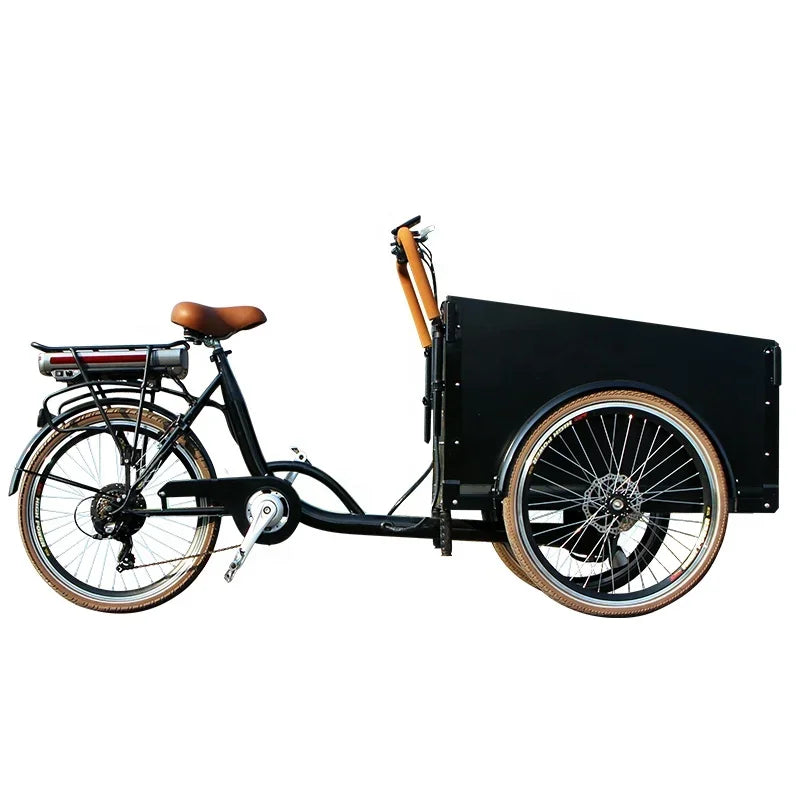 36V Lithium Battery Tricycle E-Cargo Dutch Bike