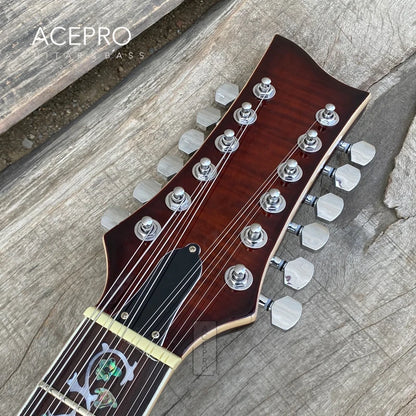 Grote Brown Burst 12 String Electric Guitar, F holes Semi Hollow Body, Abalone Flower Inlays
