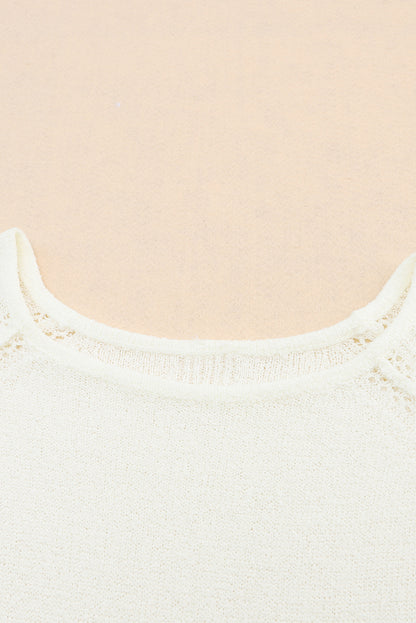 Brown Plain Raglan Sleeve Casual Pullover Sweater