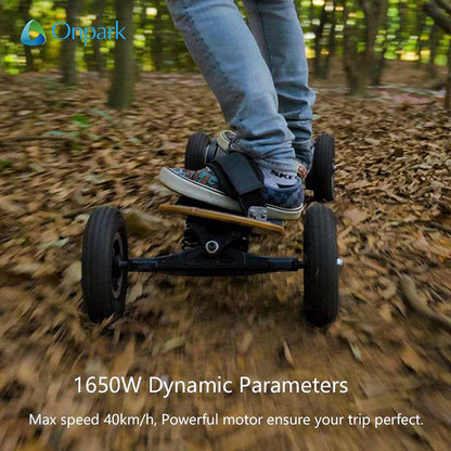 DIY Off- Road Electric Skateboard