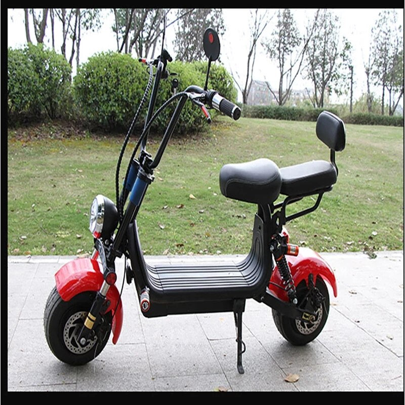 800W 48V Electric Bike Lithium Battery Mini Pedal Scooter with Two Seat for Both Men and Women