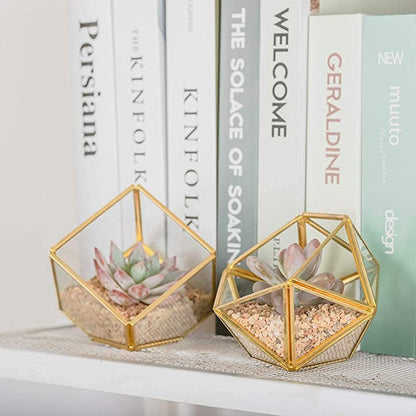 Artificial Succulent in 3 Pack Mini Glass Geometric Terrarium