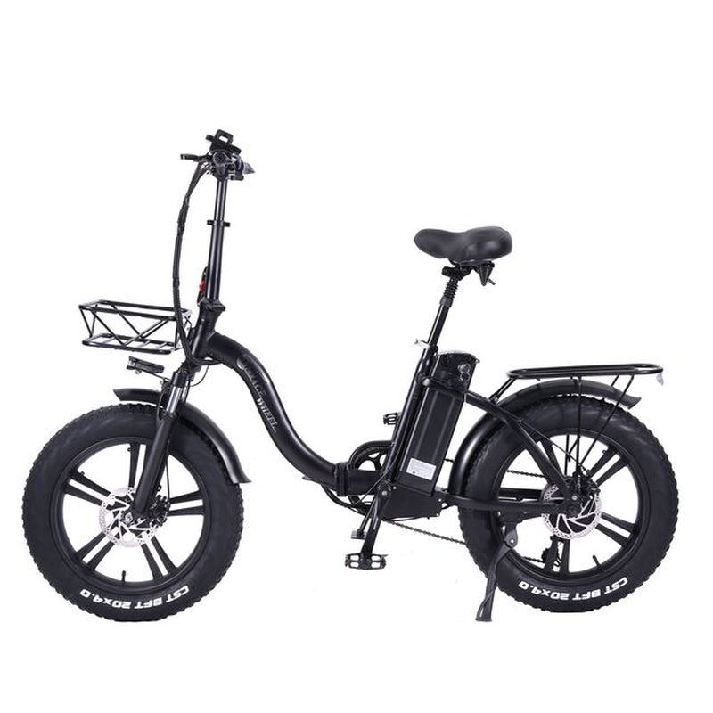 Y20 Folding E-Bike Snow Bike, 750W Motor, 48V 15A/17A Battery, 20 Inch Mountain Bike Fat Bike, Pedal Assist Bike with Basket