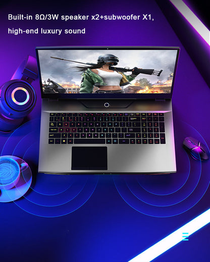 17.3 Inch Customized GTX 1650 Gaming Laptop - 1920*1080 Full HD, 1TB