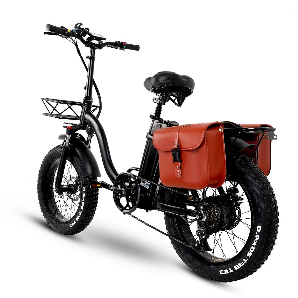 Y20 Folding E-Bike Snow Bike, 750W Motor, 48V 15A/17A Battery, 20 Inch Mountain Bike Fat Bike, Pedal Assist Bike with Basket