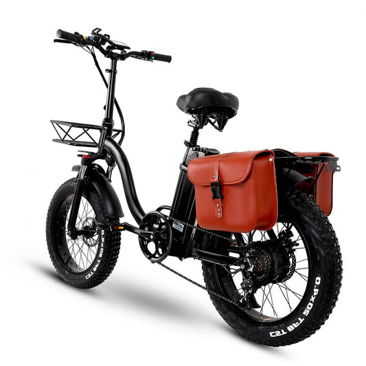 Y20 Folding E-Bike Snow Bike, 750W Motor, 48V 15A/17A Battery, 20 Inch Mountain Bike Fat Bike, Pedal Assist Bike with Basket