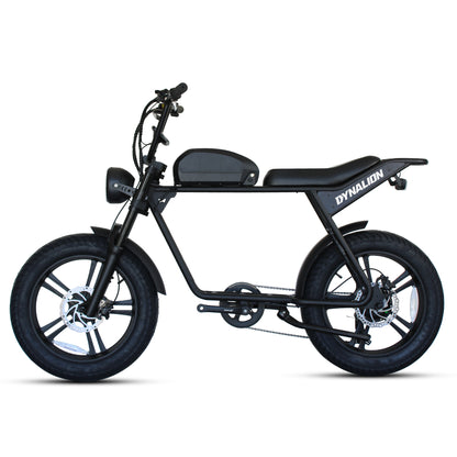 48v 750w 1000w Retro Electric Hybrid Bike