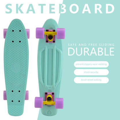 Mini 22 Inch Plastic Fish Board Cruiser Skateboard With Big LED Wheel