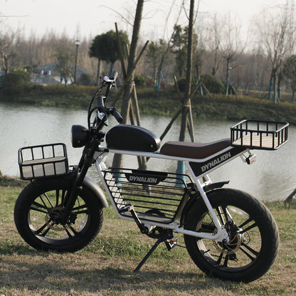 48v 750w 1000w Retro Electric Hybrid Bike