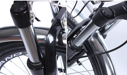 Trade Assurance 24 Inches 200W 250W Street Legal Electric Bikes for Adults