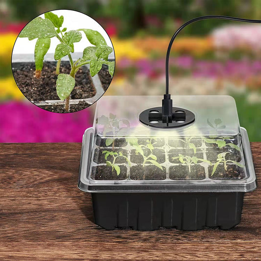 5Pack/Set Nursery Seed Greenhouse Grow Tray