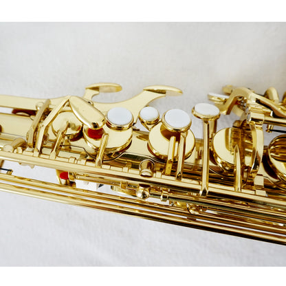Red Colour Professional Alto Saxophone