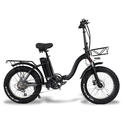 Y20 Folding E-Bike Snow Bike, 750W Motor, 48V 15A/17A Battery, 20 Inch Mountain Bike Fat Bike, Pedal Assist Bike with Basket
