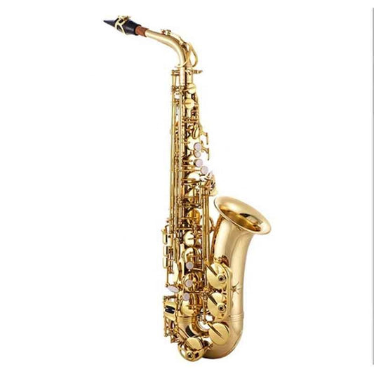 Professional Beginner Alto Saxophone