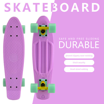 Mini 22 Inch Plastic Fish Board Cruiser Skateboard With Big LED Wheel