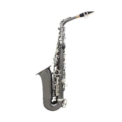SEASOUND OEM Professional Black Nickel Body Silver Keys Alto Saxophone