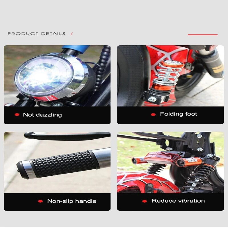 800W 48V Electric Bike Lithium Battery Mini Pedal Scooter with Two Seat for Both Men and Women