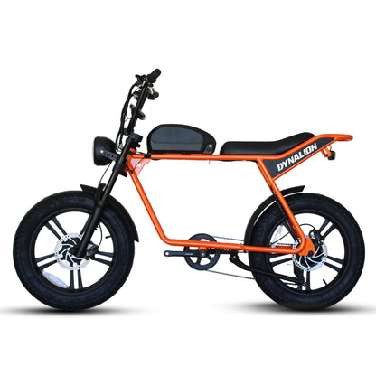 48v 750w 1000w Retro Electric Hybrid Bike