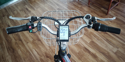 Trade Assurance 24 Inches 200W 250W Street Legal Electric Bikes for Adults