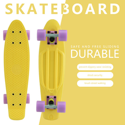 Mini 22 Inch Plastic Fish Board Cruiser Skateboard With Big LED Wheel
