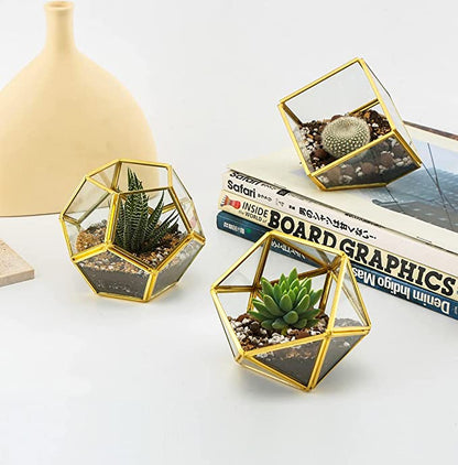 Artificial Succulent in 3 Pack Mini Glass Geometric Terrarium