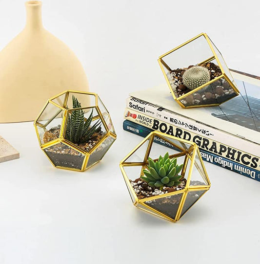 Artificial Succulent in 3 Pack Mini Glass Geometric Terrarium