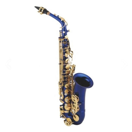 Professional Beginner Alto Saxophone