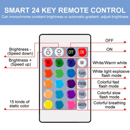 Smart Control Lamp