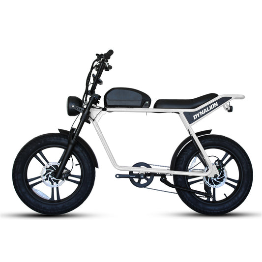 48v 750w 1000w Retro Electric Hybrid Bike