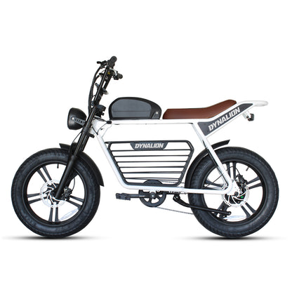 48v 750w 1000w Retro Electric Hybrid Bike