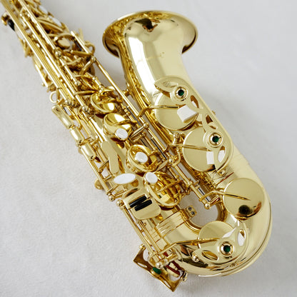 Red Colour Professional Alto Saxophone