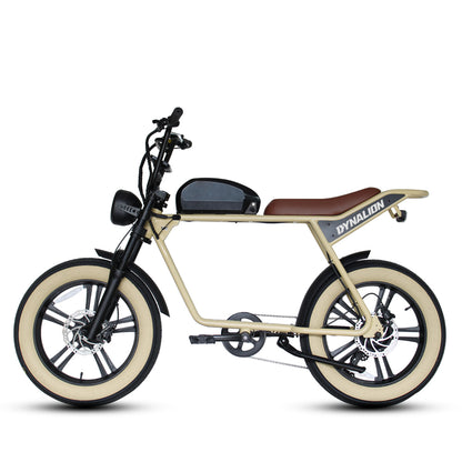 48v 750w 1000w Retro Electric Hybrid Bike