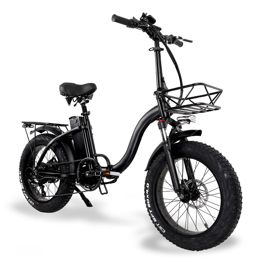 Y20 Folding E-Bike Snow Bike, 750W Motor, 48V 15A/17A Battery, 20 Inch Mountain Bike Fat Bike, Pedal Assist Bike with Basket