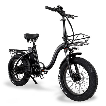 Y20 Folding E-Bike Snow Bike, 750W Motor, 48V 15A/17A Battery, 20 Inch Mountain Bike Fat Bike, Pedal Assist Bike with Basket