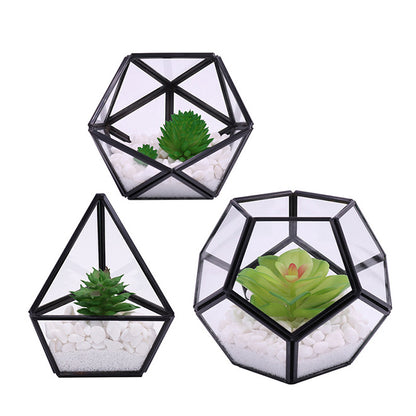 Artificial Succulent in 3 Pack Mini Glass Geometric Terrarium