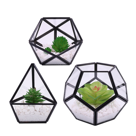 Artificial Succulent in 3 Pack Mini Glass Geometric Terrarium
